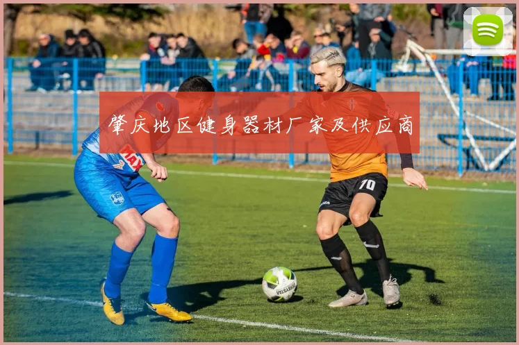 肇庆地区健身器材厂家及供应商