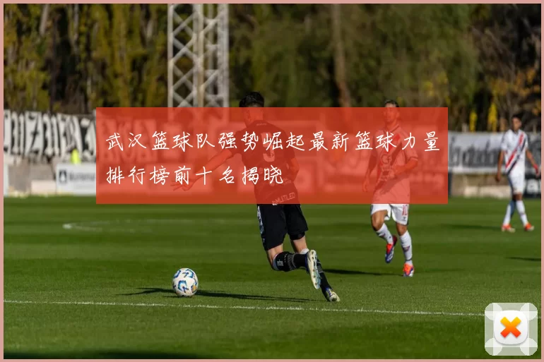 武汉篮球队强势崛起最新篮球力量排行榜前十名揭晓