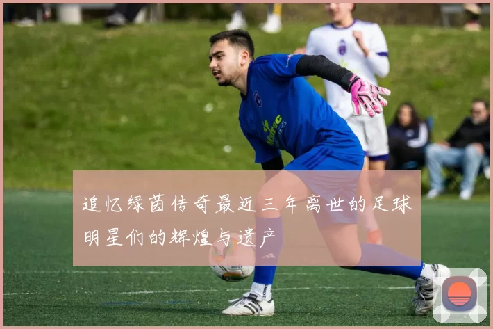 追忆绿茵传奇最近三年离世的足球明星们的辉煌与遗产
