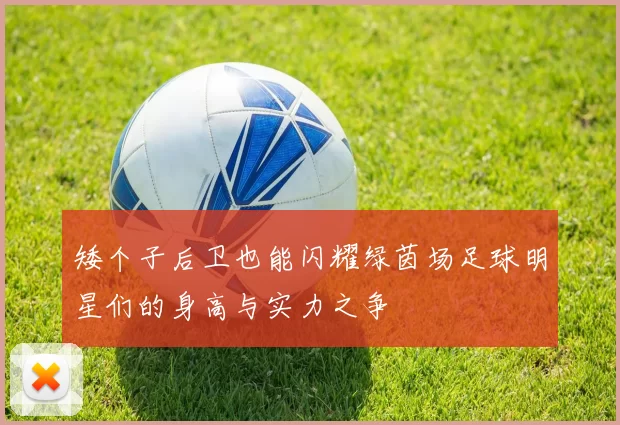 矮个子后卫也能闪耀绿茵场足球明星们的身高与实力之争