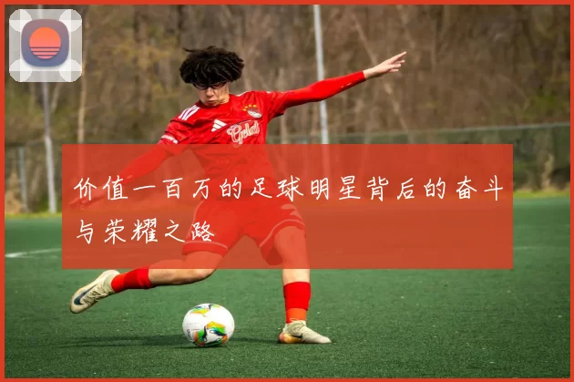 价值一百万的足球明星背后的奋斗与荣耀之路