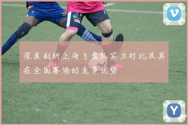 深度剖析上海飞盘队实力对比及其在全国赛场的竞争优势