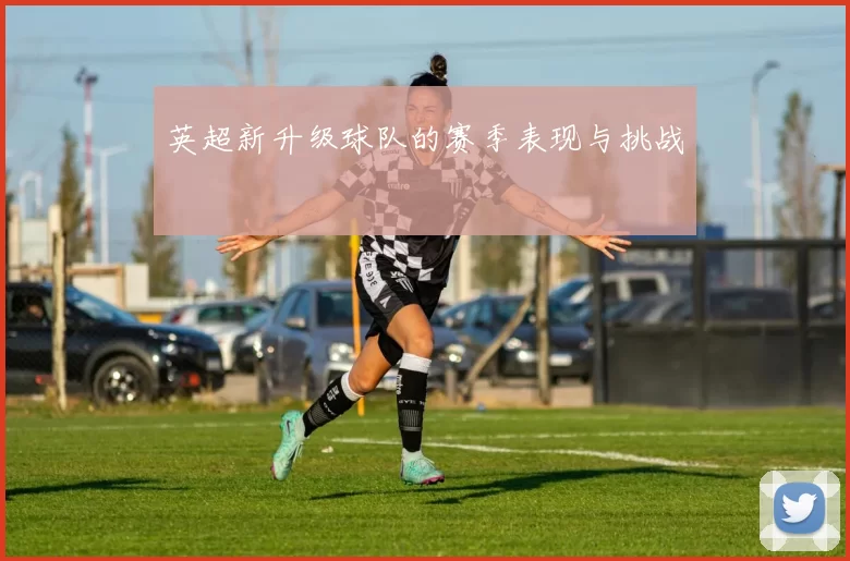 英超新升级球队的赛季表现与挑战