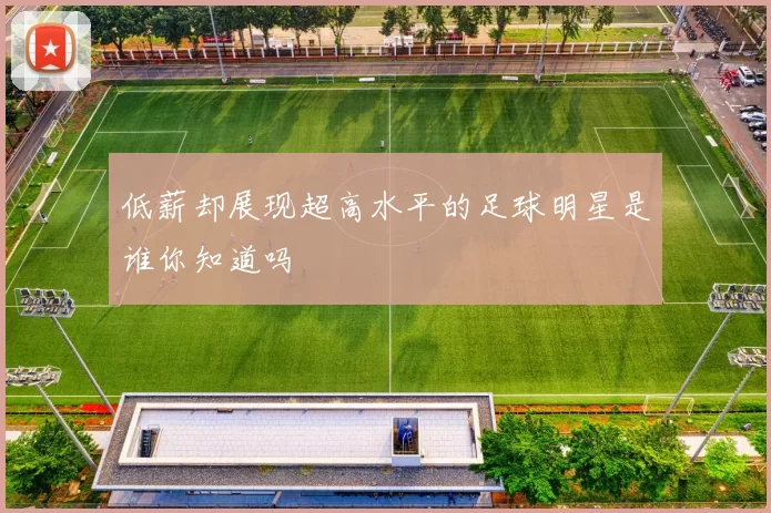 低薪却展现超高水平的足球明星是谁你知道吗