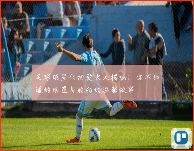 足球明星们的爱犬大揭秘：你不知道的明星与狗狗的温馨故事