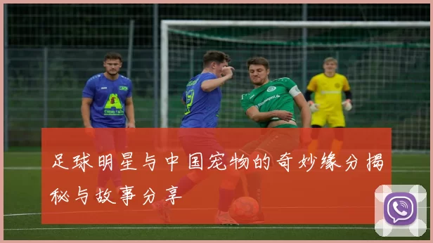 足球明星与中国宠物的奇妙缘分揭秘与故事分享