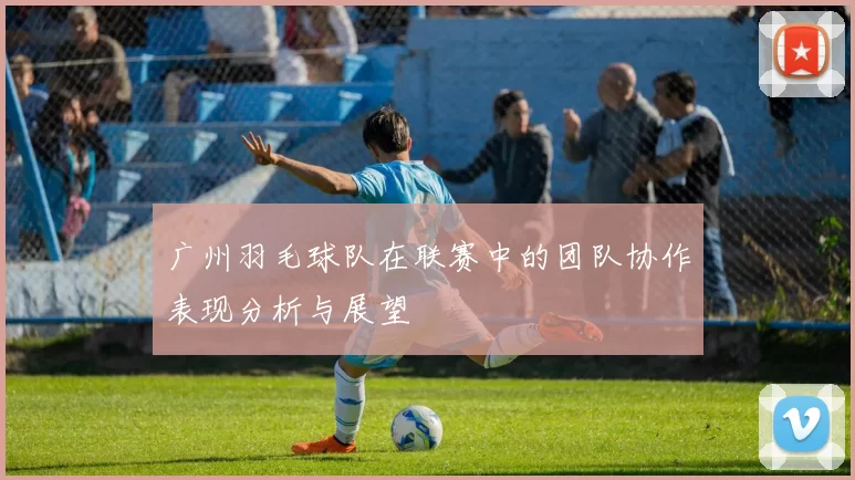 广州羽毛球队在联赛中的团队协作表现分析与展望