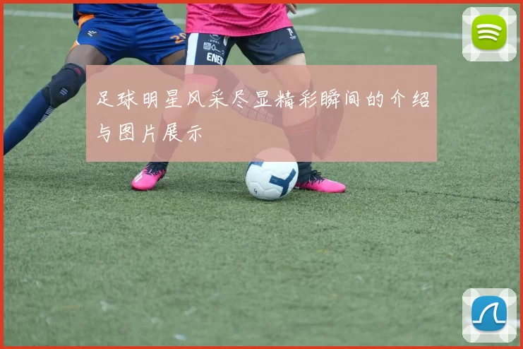 足球明星风采尽显精彩瞬间的介绍与图片展示