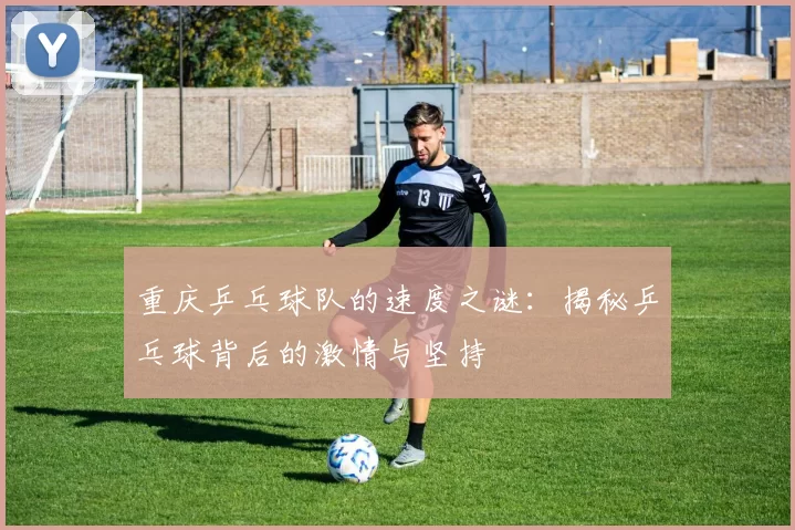 重庆乒乓球队的速度之谜：揭秘乒乓球背后的激情与坚持