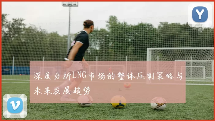 深度分析LNG市场的整体压制策略与未来发展趋势