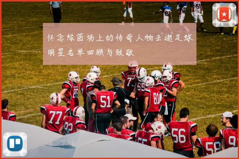 怀念绿茵场上的传奇人物去逝足球明星名单回顾与致敬