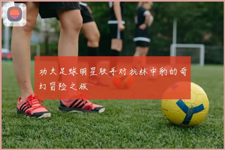 功夫足球明星联手对抗林中豹的奇幻冒险之旅