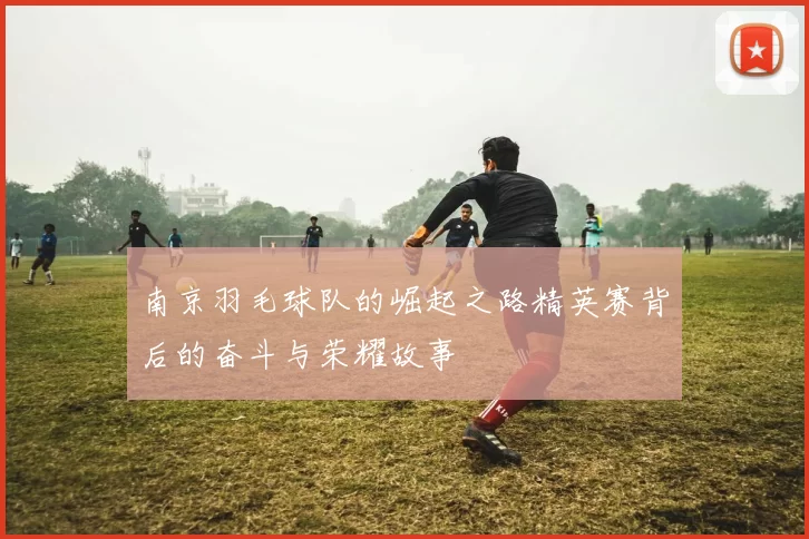 南京羽毛球队的崛起之路精英赛背后的奋斗与荣耀故事