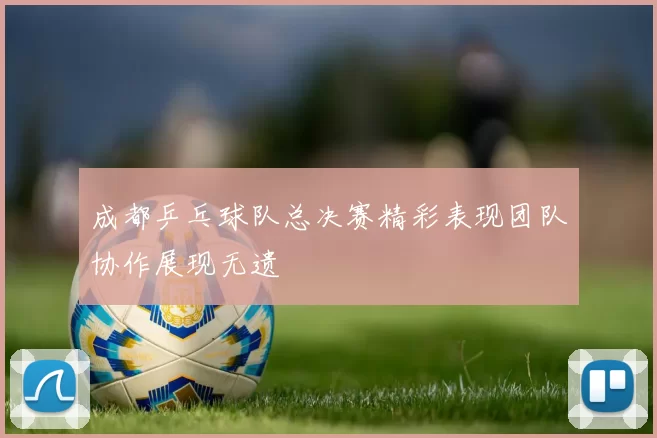 成都乒乓球队总决赛精彩表现团队协作展现无遗