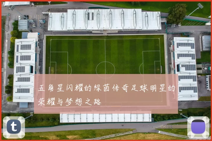 五角星闪耀的绿茵传奇足球明星的荣耀与梦想之路