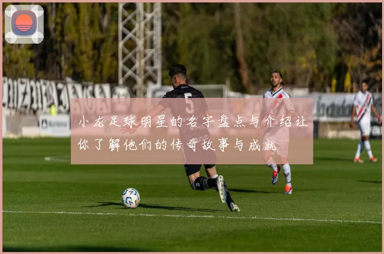 小龙足球明星的名字盘点与介绍让你了解他们的传奇故事与成就