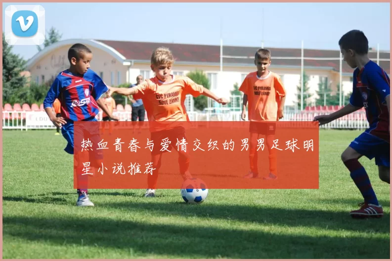热血青春与爱情交织的男男足球明星小说推荐