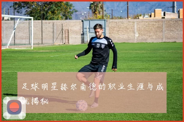 足球明星赫尔南德的职业生涯与成就揭秘