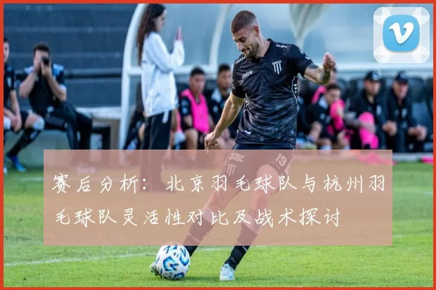 赛后分析：北京羽毛球队与杭州羽毛球队灵活性对比及战术探讨