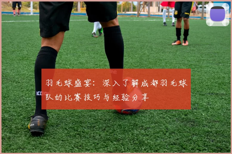 羽毛球盛宴：深入了解成都羽毛球队的比赛技巧与经验分享