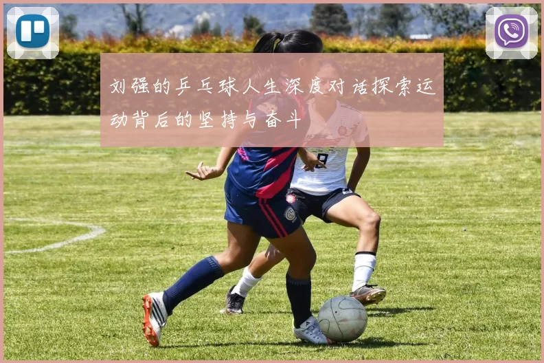 刘强的乒乓球人生深度对话探索运动背后的坚持与奋斗
