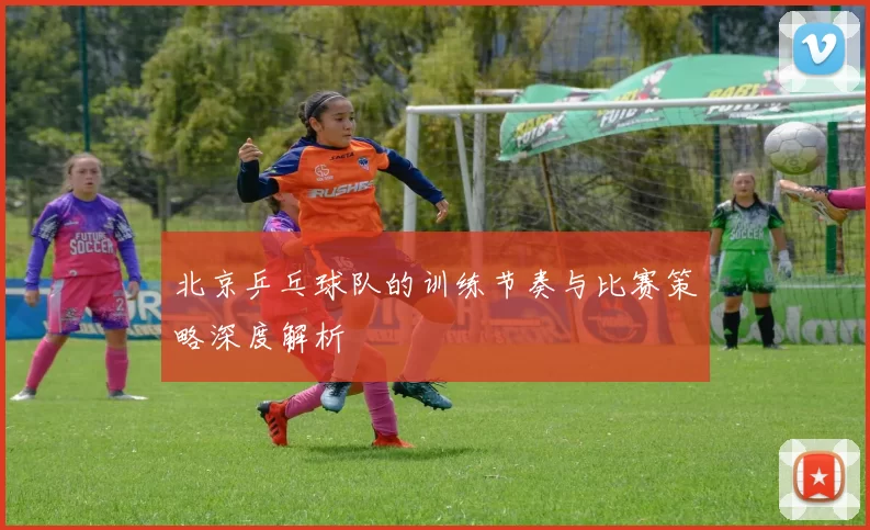 北京乒乓球队的训练节奏与比赛策略深度解析